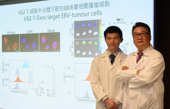 HKUMed develops a novel therapeutic approach against Epstein-Barr virus-associated tumours by using exosomes derived from Vδ2-T cells. The research was led by Professor Tu Wen-wei, Antony and Nina Chan Professor in Paediatric Immunology, Department of Paediatrics and Adolescent Medicine, HKUMed (right) and Dr Wang Xi-wei, post-doctoral fellow of Professor Tu’s team (left), is the first author.