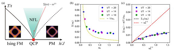 (a) Schematic phase diagram of ferromagnetic NFL, with the expected power-law behave in self-energy. (b) Self-energy calculated from quantum Monte Carlo simulation. It appears to have a slow diverging form. (c) NFL self-energy revealed after deduction of the thermal contribution. The black dashed line shows the theoretical prediction of zero-temperature NFL self-energy, while the red dashed line marks the low-frequency power-law form.