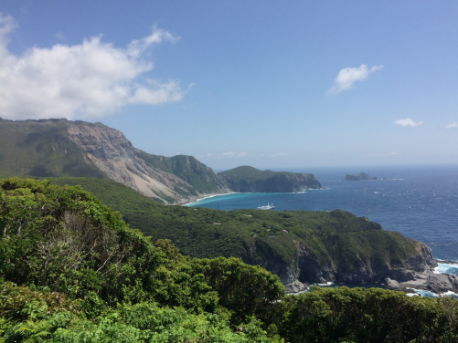 The picturesque Kozu Island.
With an approximate 3-10 hour boat ride away from Tokyo, depending on the island, the Izu Islands are easily accessible from the Japanese capital, although inter-island travel is not as flexible. For their field work, the researchers stayed at local family-run guest houses, and travelled to their study sites in the early morning where they searched for lizards until the late afternoon. (Image credit: Félix Landry Yuan)
