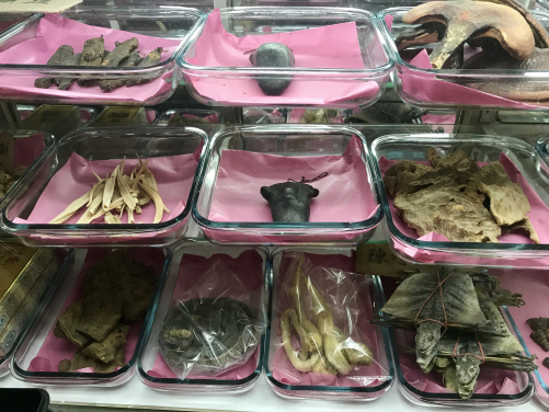 USD billions of wildlife and wildlife products are traded internationally without species-level traceability.
Photo courtesy: Astrid Andersson