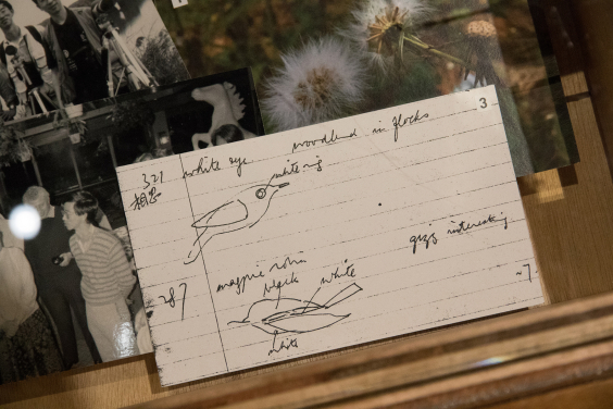 Highlighted Stories of Contemporary Amateur Naturalists
Lam’s notes from a lecture on bird watching in 1976.
© Lam Chiu Ying