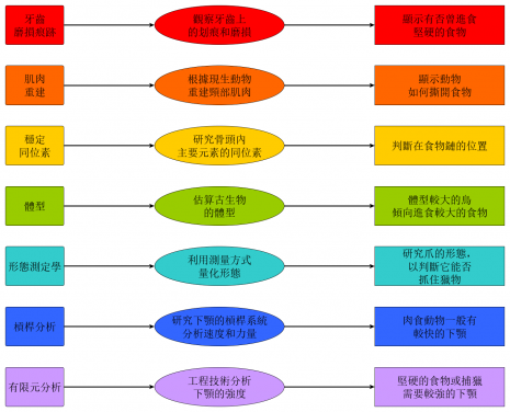 圖2. Miller和文博士提出的框架的簡化版本。 從左到右:技術名稱,簡單描述,以及它可以告訴我們有關飲食的資訊。更詳細的版本,請參見已發表論文的圖8。圖片提供:Case Vincent Miller 和 Michael Pittman。