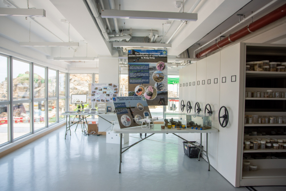 Image 8: Biodiversity Centre - As part of the new structure, the centre will be a multipurpose space for public outreach and community engagement, a classroom for visiting school groups, and a library which houses the SWIMS museum specimen collection. The specimen collection mostly collected from Hong Kong, which will continue to be used for research purposes.