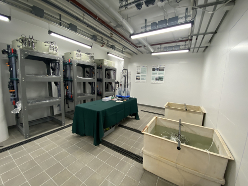Image 9: Aquarium - Expanded from the existing structure, containing approximately 50-60 individual tanks in different dimensions to accommodate species of different sizes. The aquarium is designed specifically in a controlled environment where lighting and temperature are adjustable for manipulating a day cycle that simulates an environment according to the needs of different species.