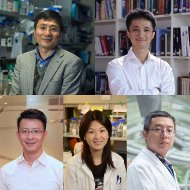 (upper) Senior Research Fellows
Professor Hongzhe SUN (Department of Chemistry)
Professor Wang YAO (Department of Physics)
(lower) Research Fellows
Dr Kaibin HUANG (Department of Electrical & Electronic Engineering)
Dr Stephanie K.Y. MA (School of Biomedical Sciences)
Dr Jinyao TANG (Department of Chemistry)