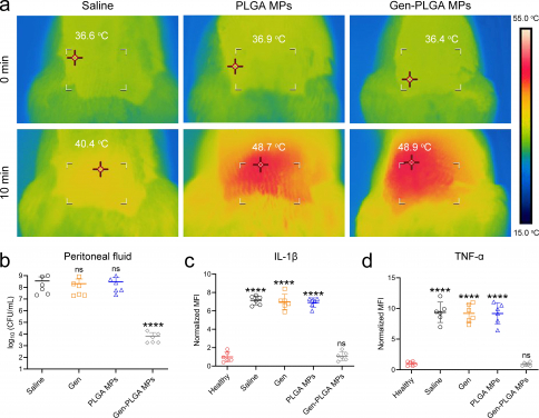 Treatment efficacy:Peritoneal infection: a) Thermal images indicating the skin temperature over peritoneal location after injection with saline, PLGA MPs, and Gen-PLGA MPs after MWH irradiation for 10 min. b) MDR E. coli bacterial burden in the peritoneal fluid after different interventions. Obviously, the number of bacteria in Gen-PLGA MPs group has been significantly reduced. c–d) Quantification of the mean fluorescence intensity (MFI) of the expressions of IL-1β (c) and TNF-α (d) by immunofluorescence staining normalised to the mean of non-infected subject (Healthy). High expression of those cytokines can be observed in saline, gentamicin and PLGA MPs groups, whereas the group of gentamicin-loaded PLGA MPs bears no difference from the healthy controls.