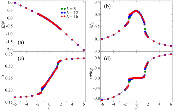 Figure 4. Distinguishing the topological orders and trivial phases by designed measurements.
Illustration: Phase transitions between QSLs and the PM phase. Data along the QSL–PM–QSL path, indicated by the dashed line at V = 0.9 in Fig. 2. (a) The energy density is smooth with increasing µ. (b) The polarization Mx reveals the first-order phase transition between the PM phase and the two Z2 QSLs. (c) The dimer filling changes continuously in the PM phase, and the filling also exhibits a first-order phase transition between the PM phase and QSLs. (d) The string operator is zero in the trivial PM phase but positive (negative) in the even (odd) Z2 QSL.