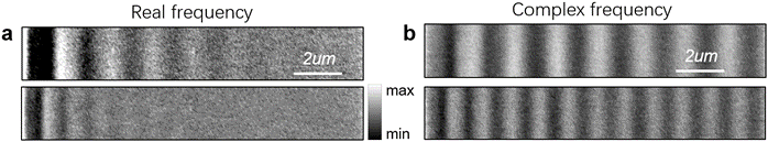 Figure 2. 1D Polariton propagation (from left to right) using hBN film operating at optical frequency. (a) Real frequency images show obvious decay field profile at propagation direction. (b) Complex frequency measurements provide almost non-dissipative propagation behavior.
(Figures adapted from Nature Materials, 2024, doi.org/10.1038/s41563-023-01787-8)