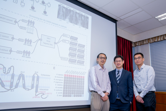 HKUMed has uncovered key genetic clue in adolescent idiopathic scoliosis. The research team members include: (from left) Dr Song You-qiang, Professor Jason Cheung Pui-yin and Dr Gao Bo.