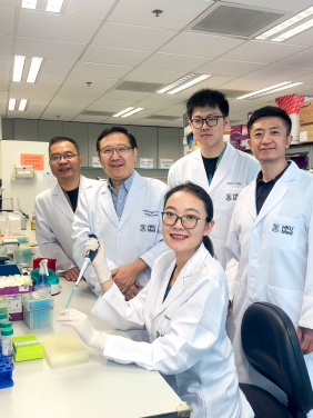 港大醫學院研究團隊首次從小鼠的肢體和肺部組織中發現並分離出「外周神經幹細胞」，可輕易從胚胎四肢、新生兒肺組織等部位分離，且可在實驗室環境下能無限增殖，極具臨床應用潛力。
 