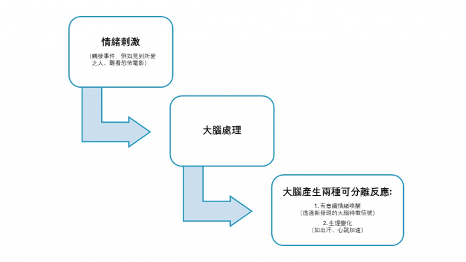 HKU psychology research reveals how the brain constructs emotional experiences