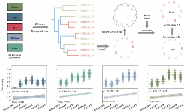 Fig. 2 Connectivity of Rank I ARGs between soil and other habitats