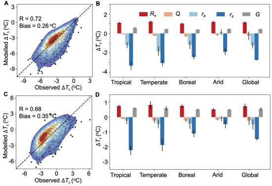 HKU Geography Research Reveals the “Warming Paradox” of Urban Greenery