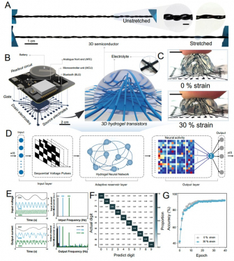 Figure 2. From 2D rigid electronics to 3D soft electronics: Increasing the dimensionality of transistors with 3D hydrogel semiconductors.